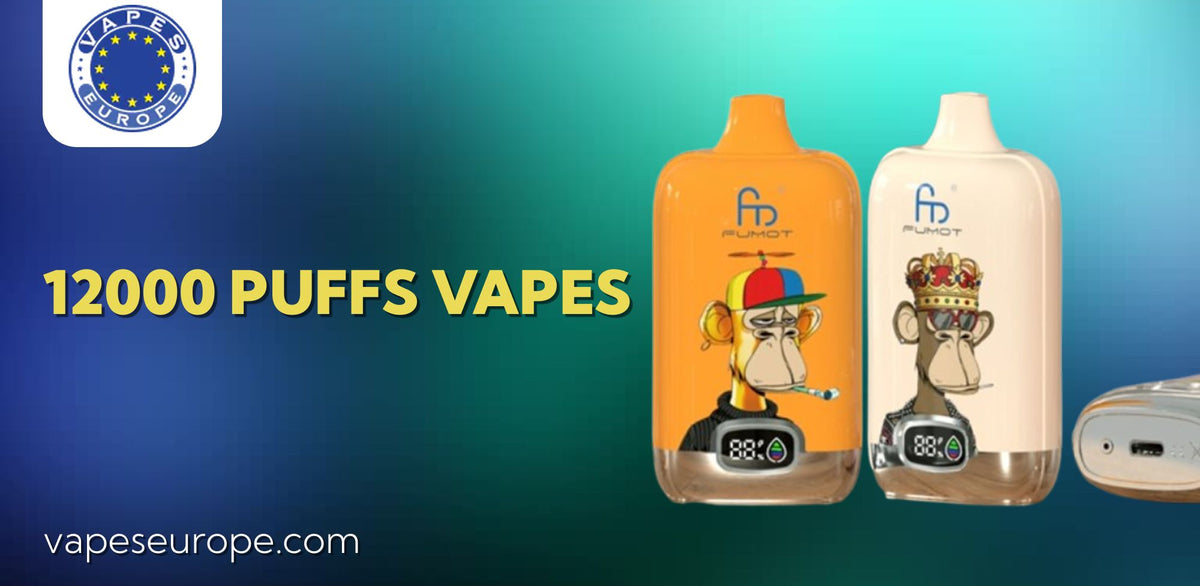 Best 12000 Puff Vapes for 2025
