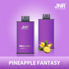JNR Mega Box 25000 Puffs Disposable Vape (Caja de 10)