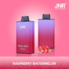 JNR Mega Box 25000 Puffs Disposable Vape (Caja de 10)