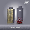 JNR Mega Box 25000 Puffs Disposable Vape (Caja de 10)