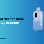 Everything You Need to Know About Lost Mary BM6000